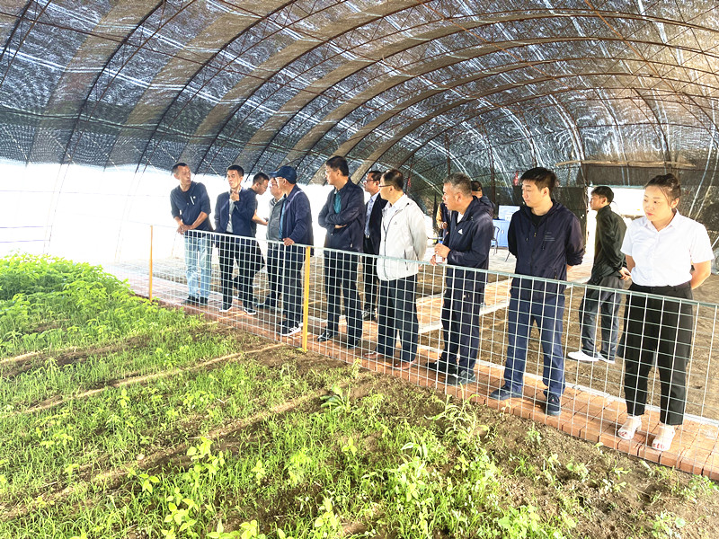 石岘镇 (4)_副本.jpg