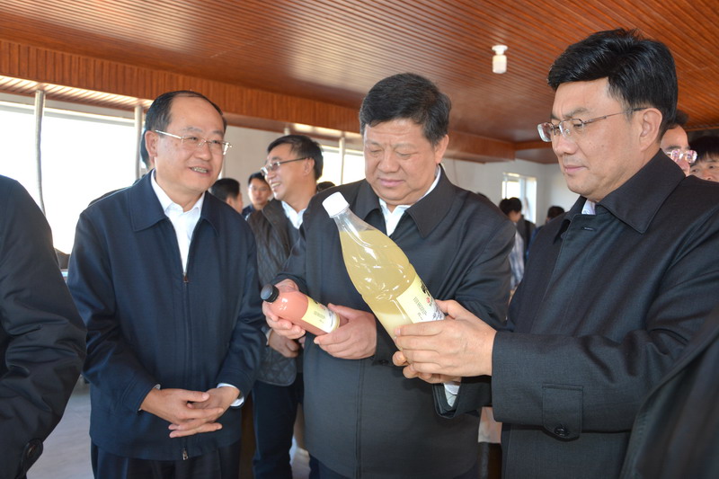 金振吉到龙井市调研4.JPG