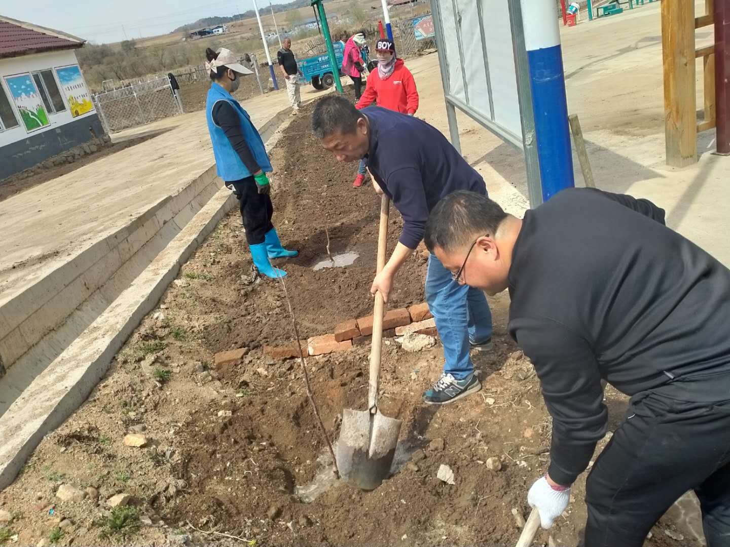 植树1.jpg