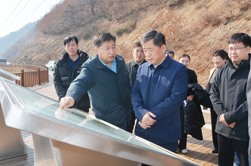 州政协经济委视察延龙图新区医美小镇建设...